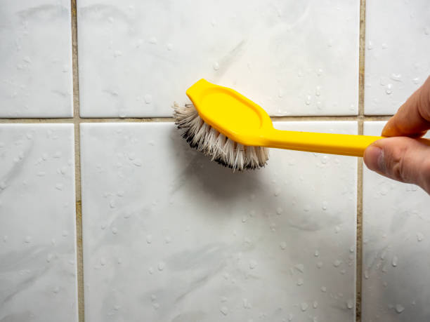 Best Kitchen Mold Remediation in Norton Center, MA