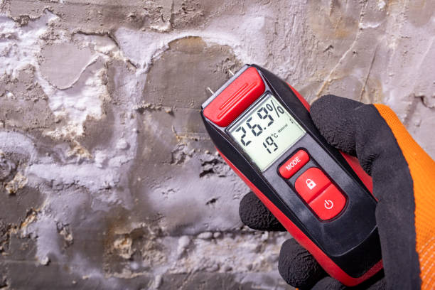Best Mold Remediation for Schools in Norton Center, MA